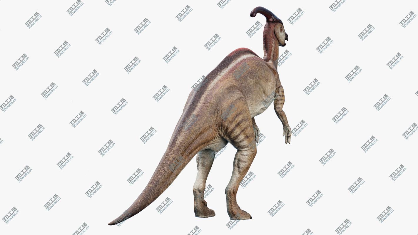 images/goods_img/2021040231/Parasaurolophus 3D/5.jpg